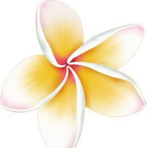 Meet your Posher, Jaelynne